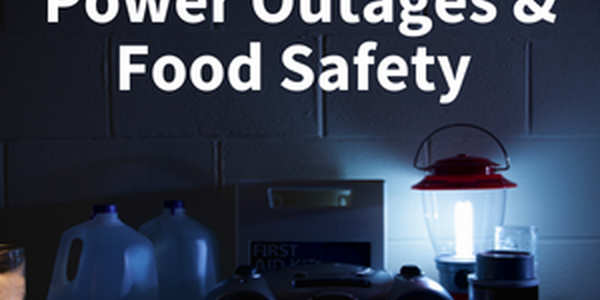 Dark Kitchen with Lamp 